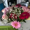 damourelsy55