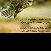 mohsen_19860