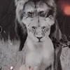 sarahmohammed593
