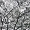i_buygallery