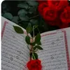 user39450327133297