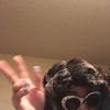 steezyh0e