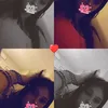 biggestwallflower