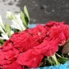 aliraza3308