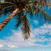 blue_sky_____
