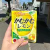 waniwani_panikku_