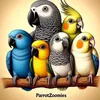 parrotzoomies