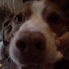 charlie_hall55