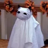 spookyxayide