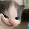 phatle85