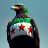 zzain333