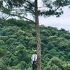 fuji_lose