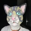 userll201jgq74