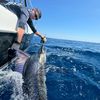 fishing_with_chris_