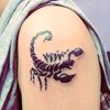 thescorpion802