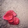 dear_daughter0