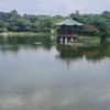 katianicolaidou