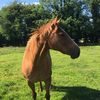 aoibhindunleavy04