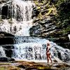 coral_traxler