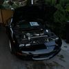 z28verto