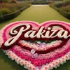 pakeeza