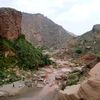 arslanqaisrani08