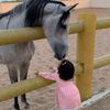 khukha_ll