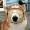 bot7tiktok