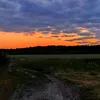 eeu_31
