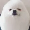 kailathegamer