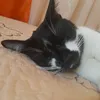 alexaplayz12