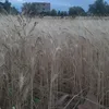 achraftahiri88