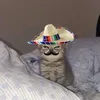 zxmmen