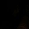 hanifa.wilda0