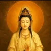 huynhlam650