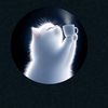 ulfat.z2