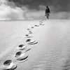 consultt_