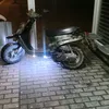 luca_vec