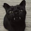 loony.moony08