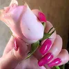 leprincesse45