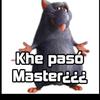 _que_paso_master_