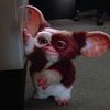 justalilmogwai