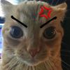 jeancrb