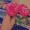 userrsy031jim9
