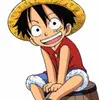 luffy1673