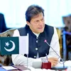 imrankhan795ka804