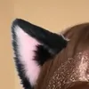 a_y_0.3