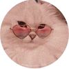 the_lost_miau