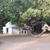 ramdhyanmandal