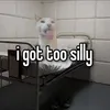 elodie.mp4